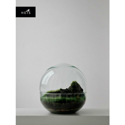 Флорариум стеклянный / экосистемы HEIS / моссариум с мхом яванским и леукобориумом M