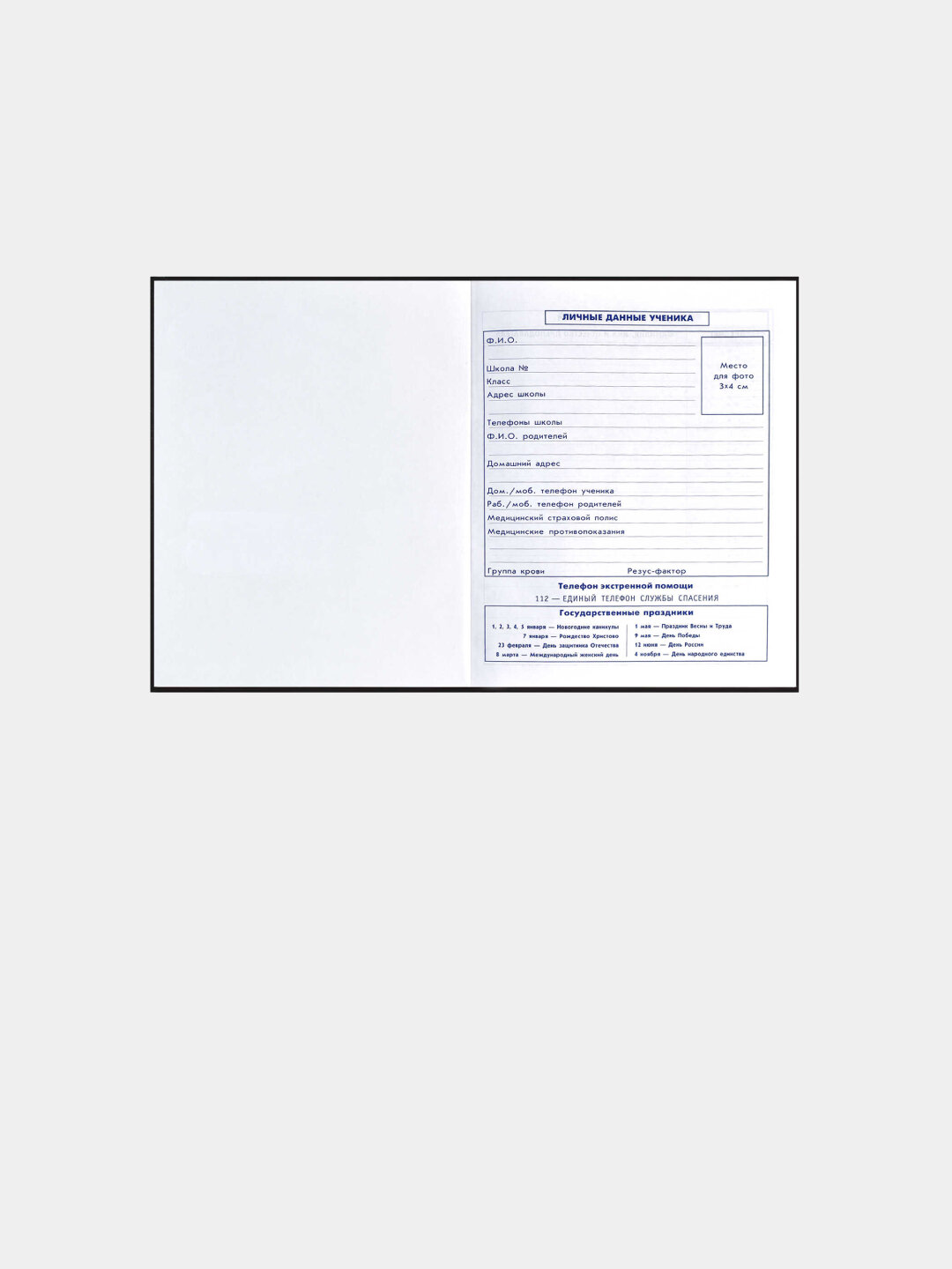 Дневник школьный, для 5-11 классов, Зомбо банка — фото 1