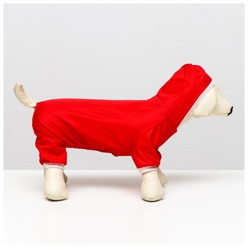 фото Комбинезон для собак cocoa honey размер s, (дс 20-22 см, ош 26 см, ог 30-34 см), красный