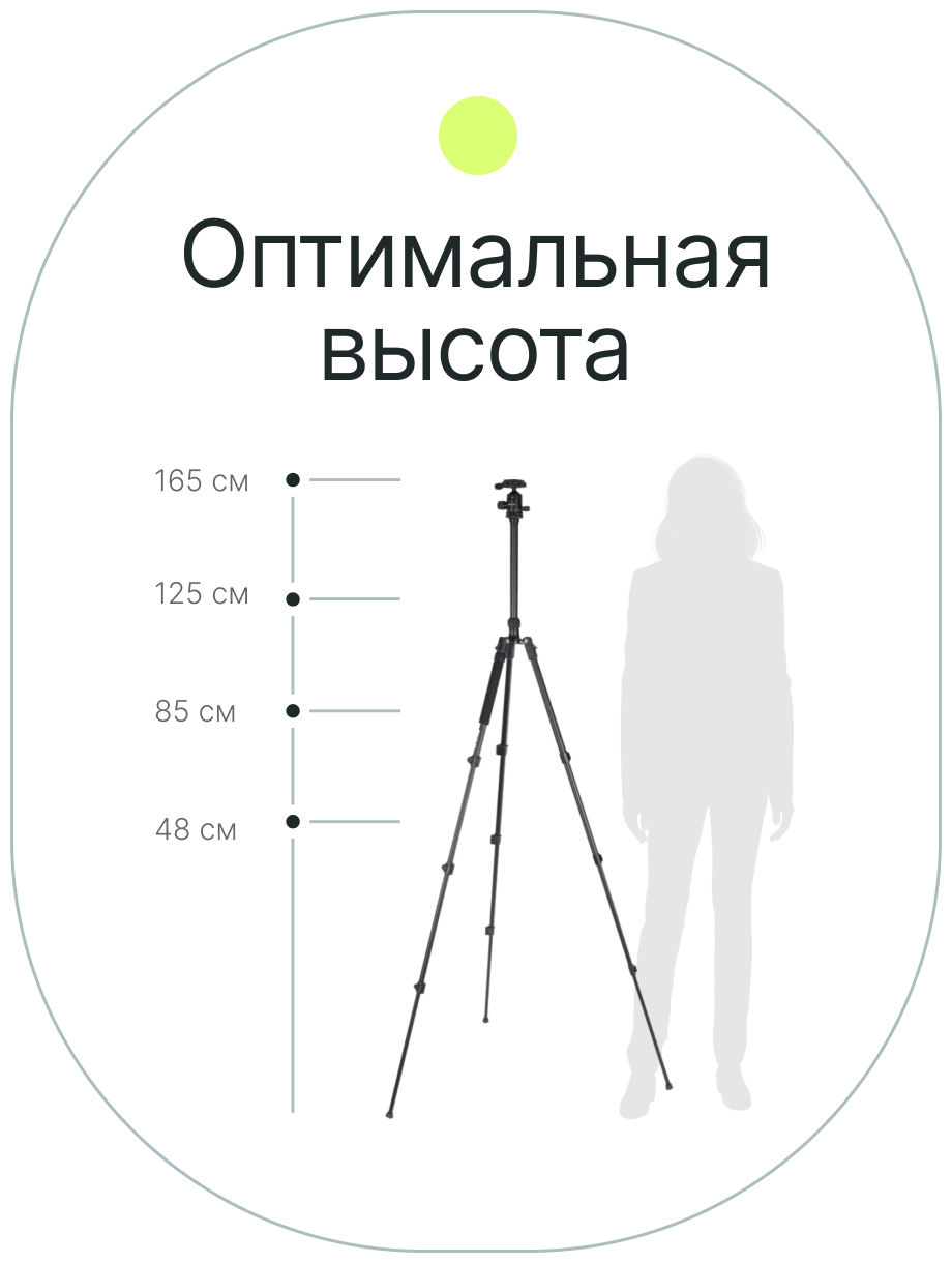 Штатив Raylab Pro 65 алюминиевый сплав (с головой)