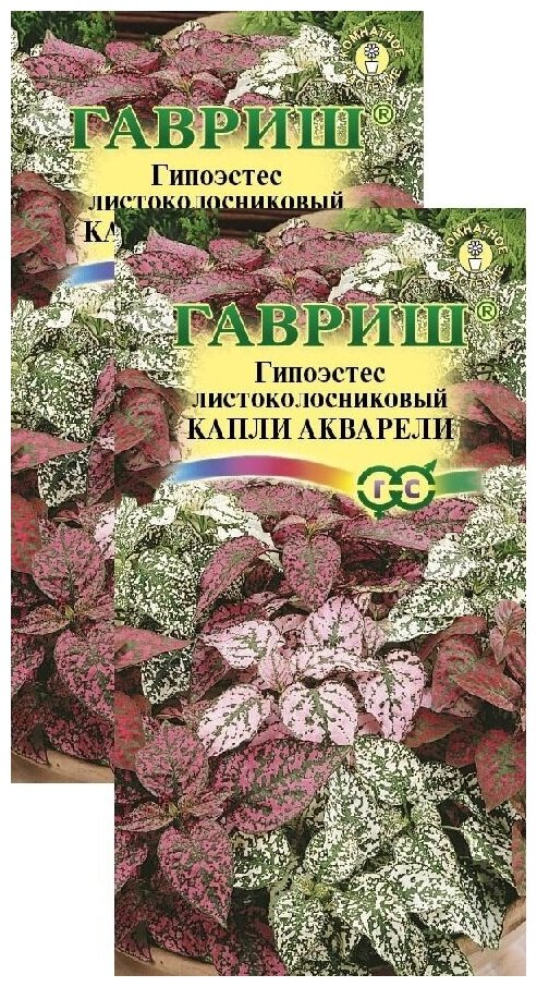 Гипоэстес Капли акварели (4 шт) 2 пакета