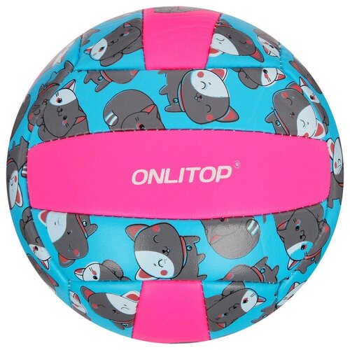 фото Мяч волейбольный onlitop "кошечка", размер 2, 150 г, 2 подслоя noname