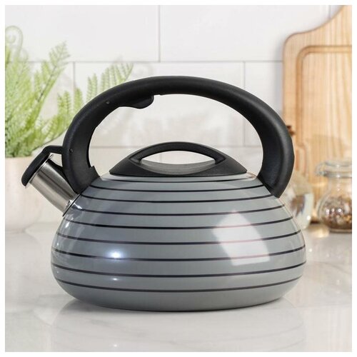 фото Чайник со свистком circles, 3 л, цвет серый qwen