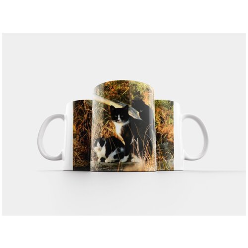 фото Кружка "обычный кот, животное, даховец" 320 мл lotsprints