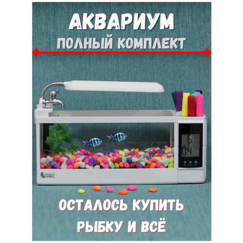 Аквариумы, аквариум офисный TG-03L, аквариум 3 литров, белый, аквариум для офиса, аквариум с освещением, с фильтром, аэрация