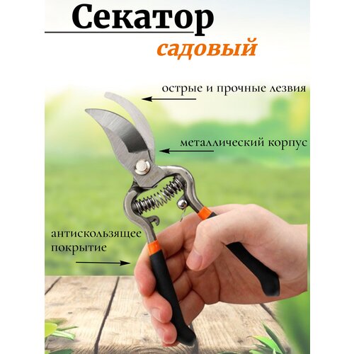 Профессиональные сучкорезы из углеродистой стали/ Садовые ножницы для обрезки деревьев / 10 дюймов