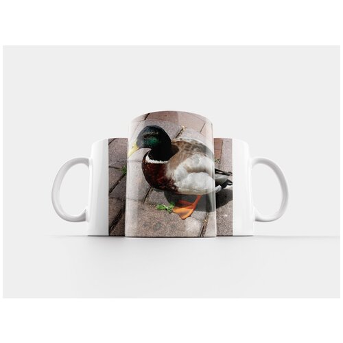 фото Кружка "утка, селезень, животное" 320 мл lotsprints