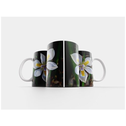 фото Кружка "цветок, блум, ирис" 320 мл lotsprints