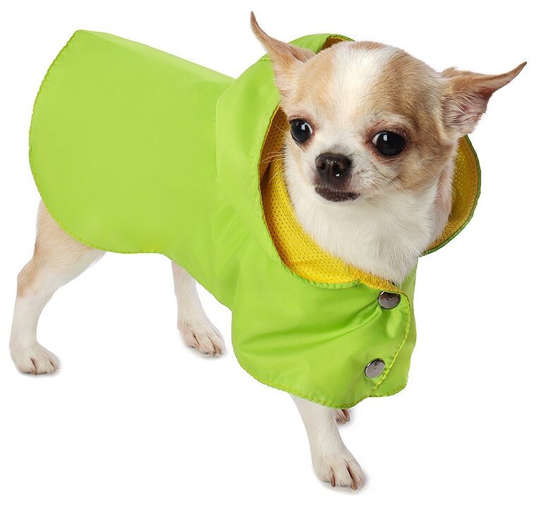 Дождевик для собак Монморанси "Стиль", зеленый, размер М, длина спины 26 см. - фотография № 4