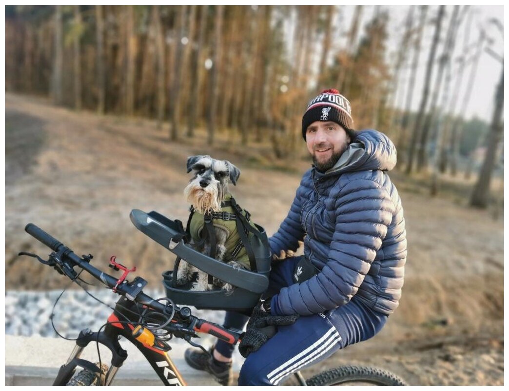 Велокресло для собак Dog Biker. Серый бустер, черный ремень. - фотография № 18