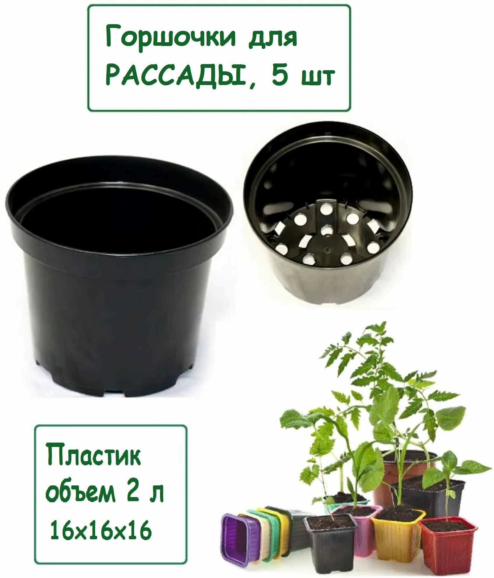 Горшки для рассады 5 шт диаметр 16 см цвет черный объем 2 л. Комплект для проращивания семян или постоянного содержания кактусов суккулентов домашней зелени