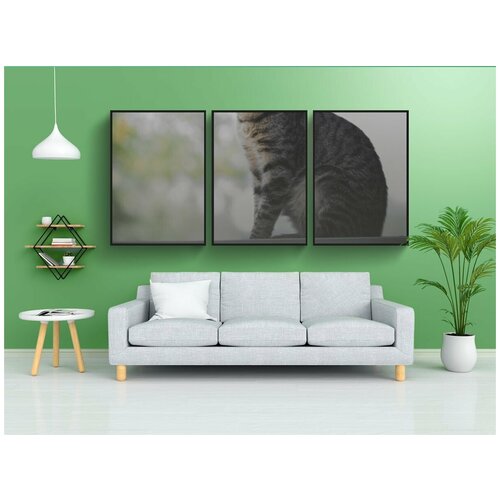 фото Набор модулных постеров для интерьера "кошка, домашний питомец, животное" 60x90 см. в тубусе, без рамки lotsprints