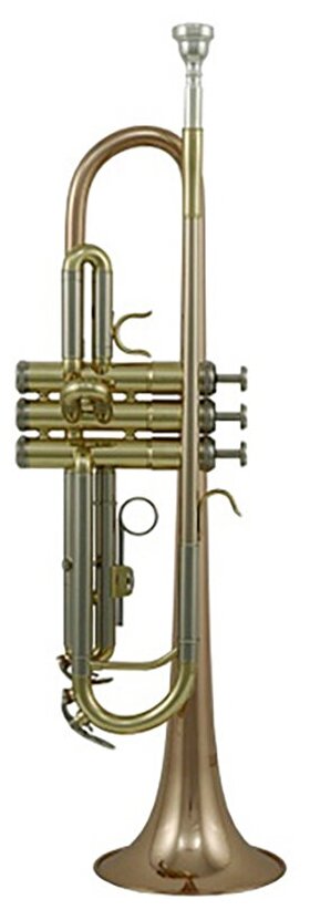 Труба Roy Benson TR-202G Bb — фото 1