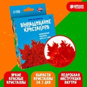 Школа талантов Набор для творчества «Лучистые кристаллы», цвет красный