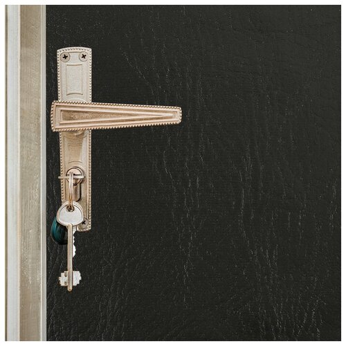 Romanoff Комплект для обивки дверей 110 × 205 см: иск. кожа, поролон 3 мм, гвозди, чёрный, «Эконом»
