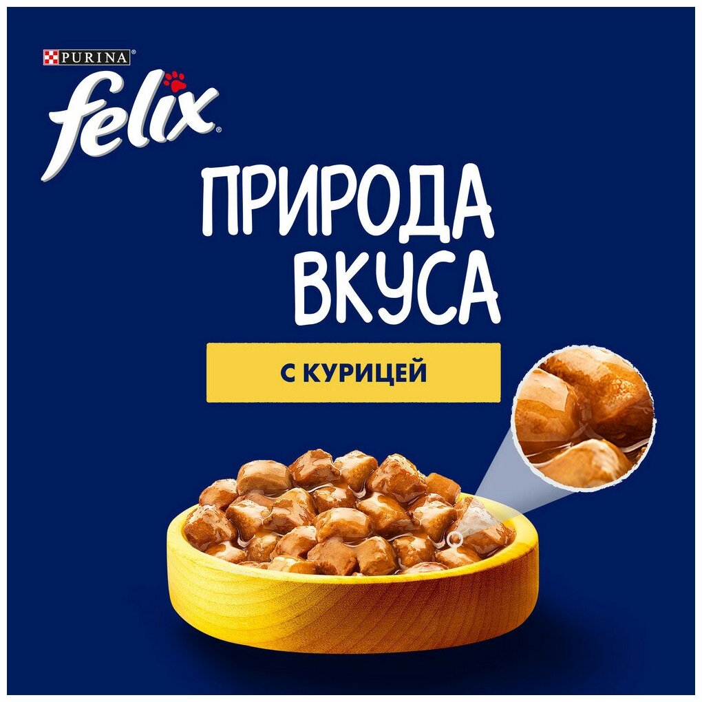 Felix Природа Вкуса влажный корм для взрослых кошек, с курицей в соусе (26шт в уп) 75 гр - фотография № 10