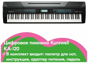 Kurzweil KA120