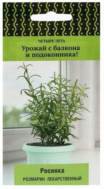 Семена Розмарин лекарственный "Росинка" 10 шт в комлпекте 2, упаковок(-ка/ки)