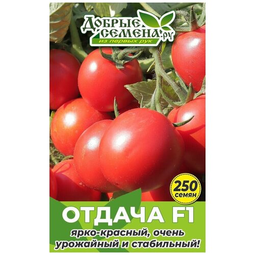 Семена томата Отдача F1 - 250 шт - Добрые Семена. ру семена томата азарт f1 250 шт добрые семена ру