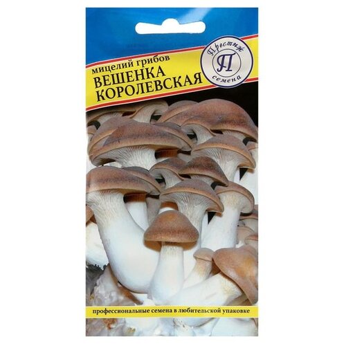 Мицелий грибов Престиж Семена Вешенка королевская, 12 шт грибы вешенка королевская семена