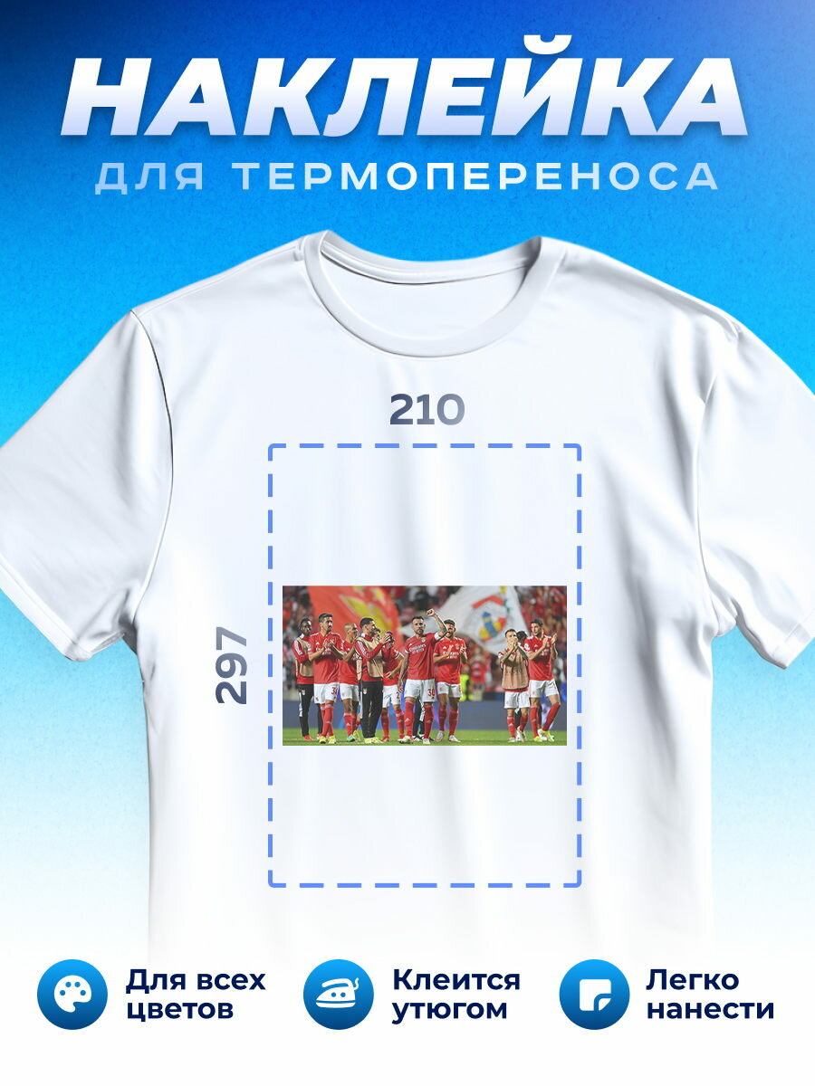 Термонаклейка для одежды наклейка Benfica Бенфика_0007