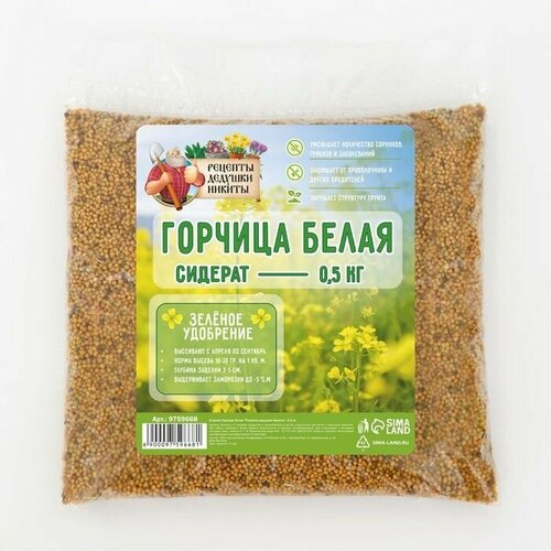 Семена Горчица белая Рецепты дедушки Никиты, 0,5 кг ( 1 упаковка )