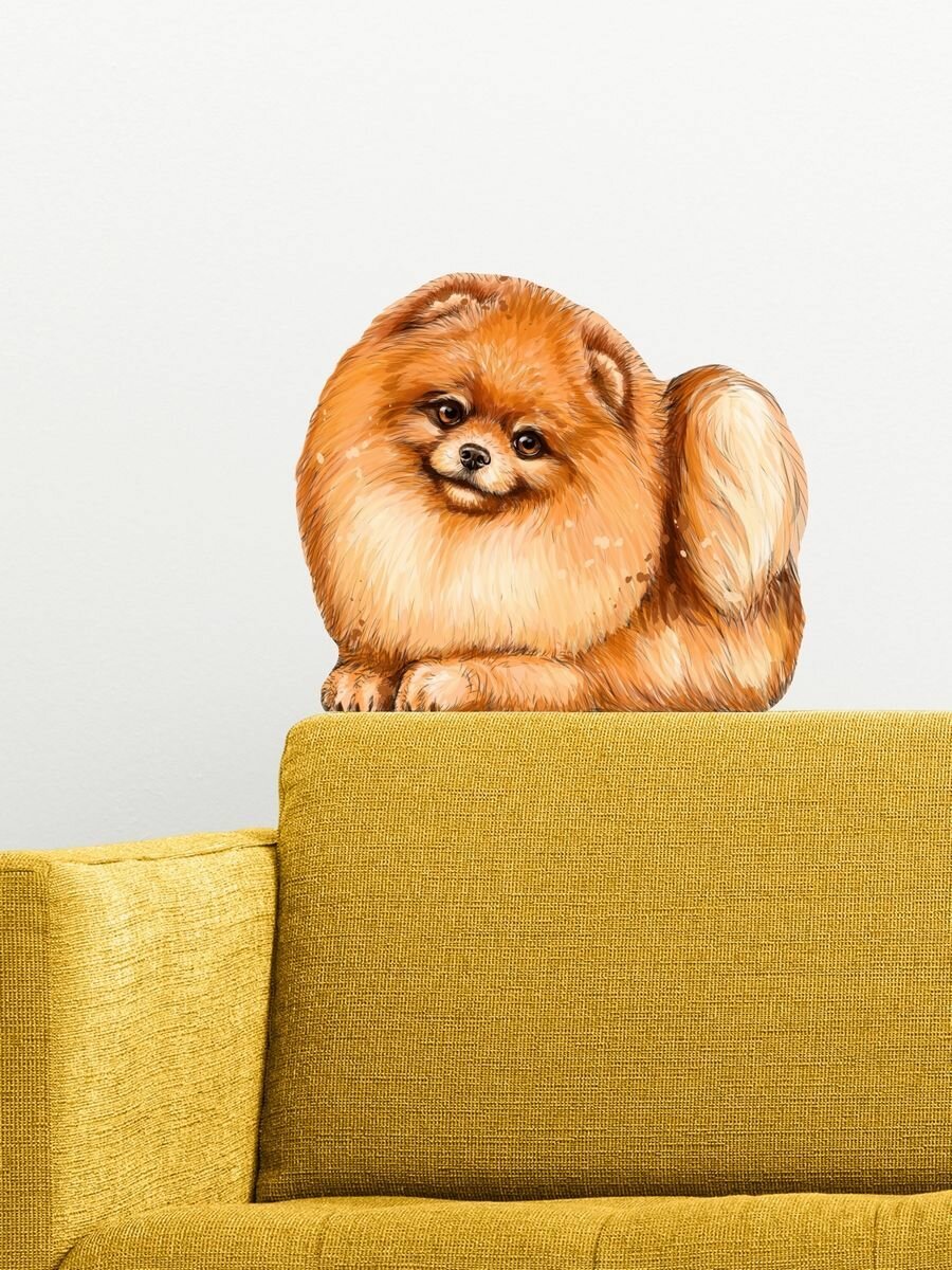 фото Интерьерные наклейки на стену для декора и интерьера дома; на окна, обои и мебель в детскую комнату Stiker