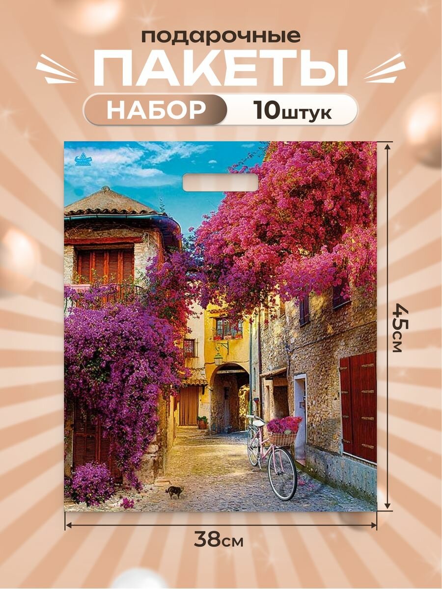 Подарочный пакет полиэтиленовый большой плотный набор 10 шт