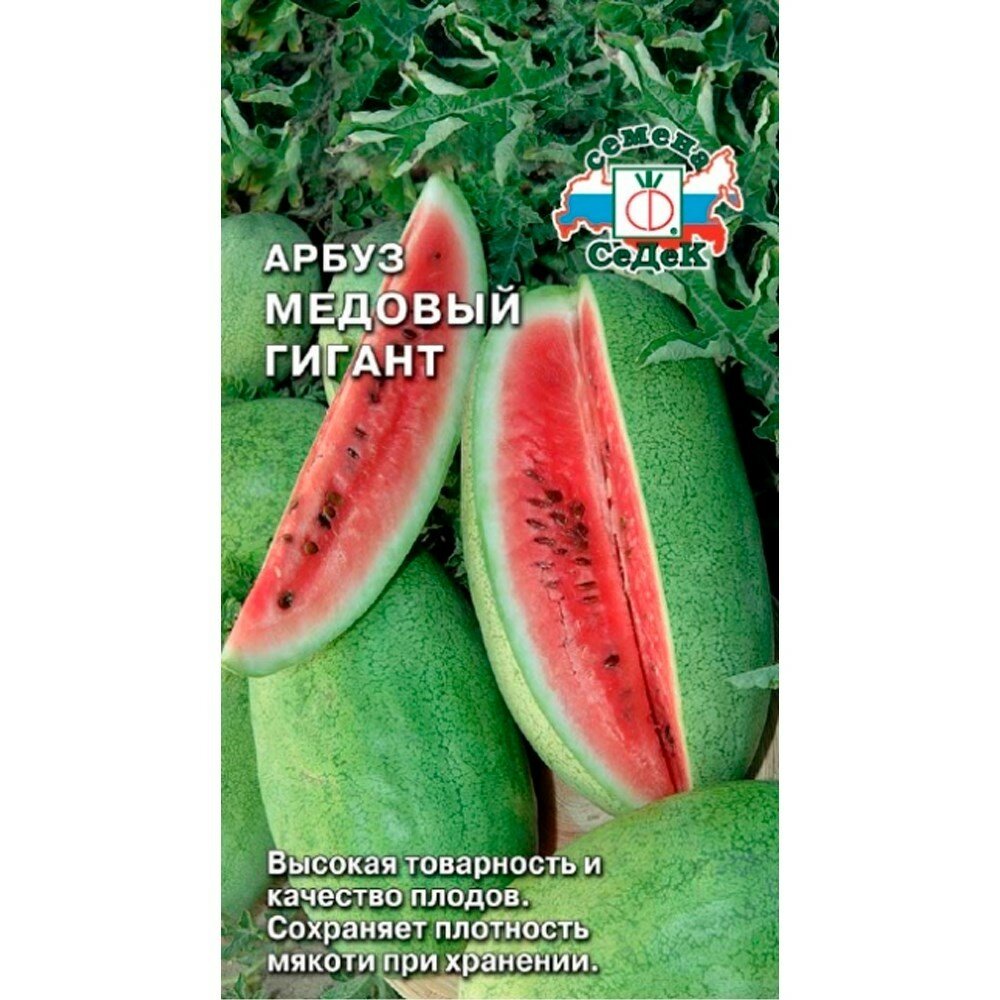 Арбуз Медовый гигант/ Гигант Супер (Седек)