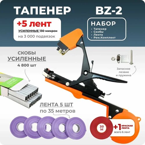 черный, фиолетовый, оранжевый