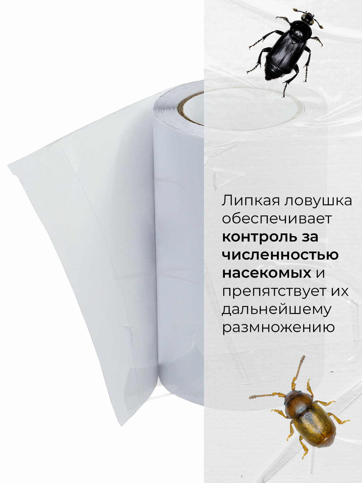 Ловчий пояс от садовых вредителей NoGuest, для деревьев, 5 м, ширина ленты 10 см — фото 1