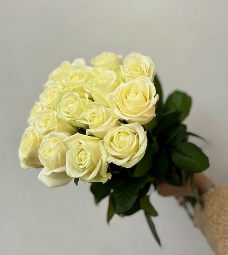 Изображение товара Букет белых роз из 15 шт, красивый букет из роз 60 см, букет живых цветов, Россия