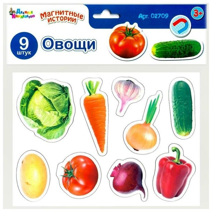 Магниты «Овощи»