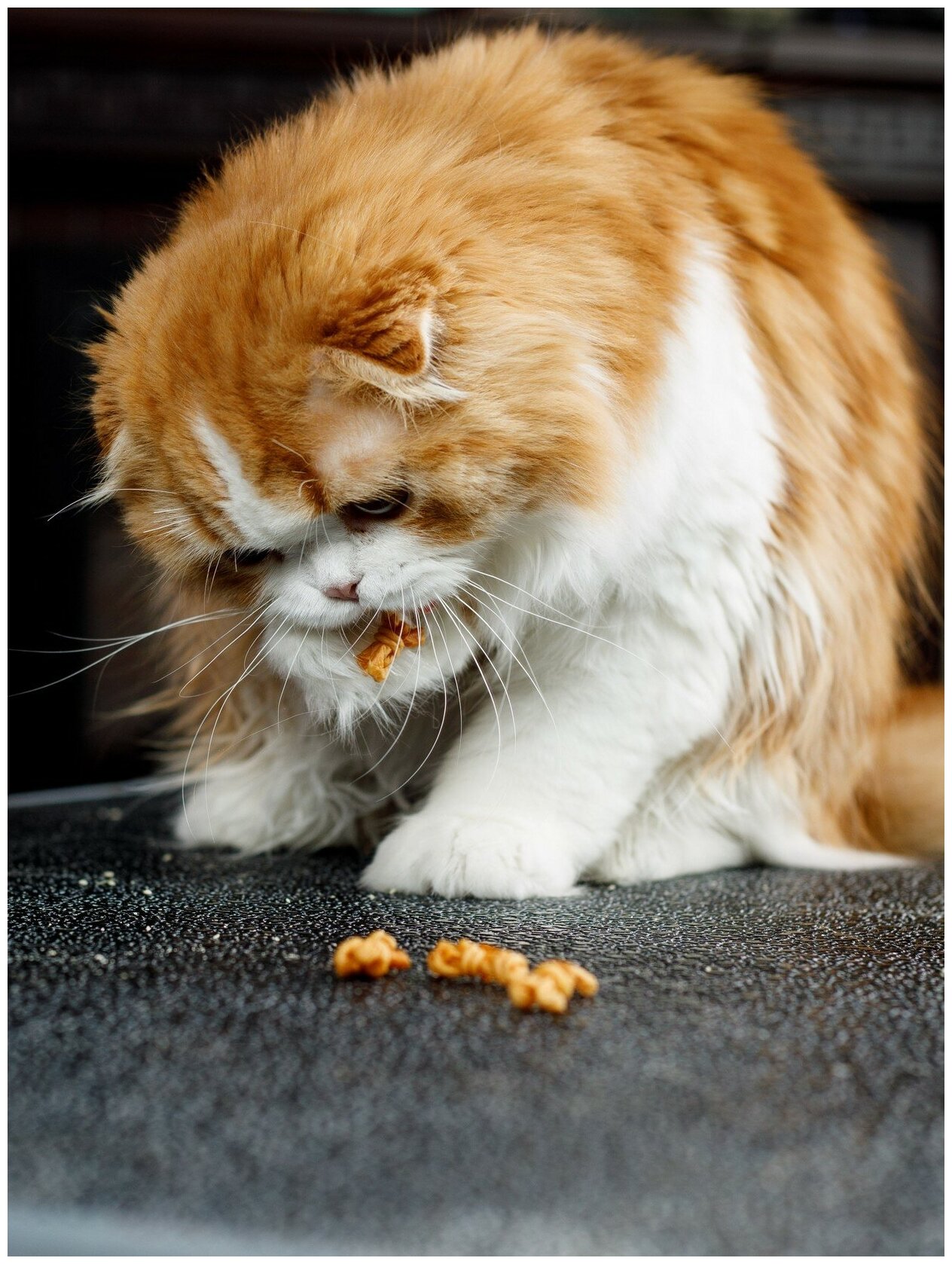 Лакомство для кошек Japan Premium Pet веревки для уничтожения запаха из пасти с коллагеном - фотография № 5