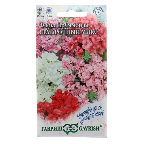 Семена цветов Флокс Друммонда 