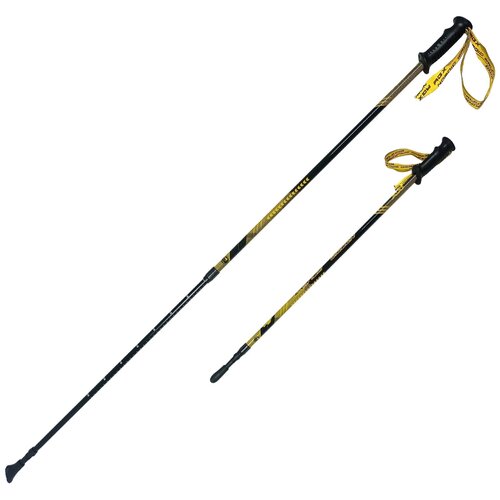 Палки для скандинавской ходьбы RGX NWS-120 палки для скандинавской ходьбы rgx nws 119