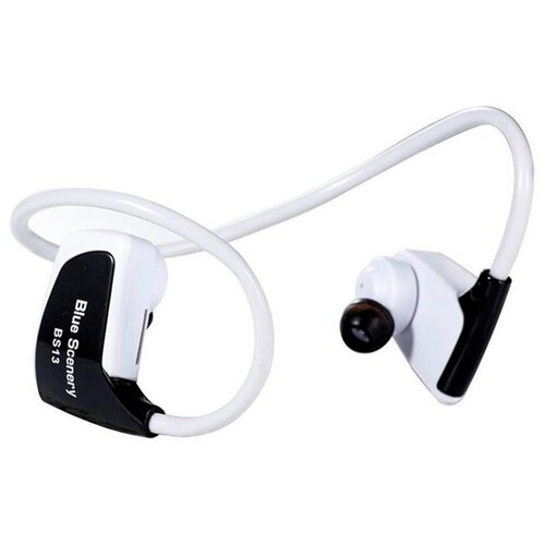 BandRate Smart BRSBS13W 112500₽