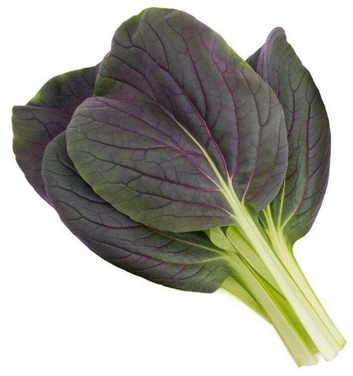 Набор картриджей для умного сада Click and Grow Refill 3-Pack Красная капуста Пак Чой (Red Bok Choy) - фотография № 2