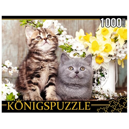 пазл konigspuzzle игривые котята 1000 элементов Пазл Konigspuzzle 1000 деталей: Котята в весенних цветах