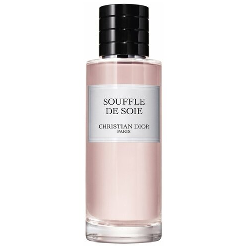 Парфюмерная вода Christian Dior Souffle de Soie 40ml souffle de soie парфюмерная вода 125мл уценка