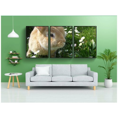 фото Набор модулных постеров для интерьера "кролик, банни, домашние животные" 60x90 см. в тубусе, без рамки lotsprints