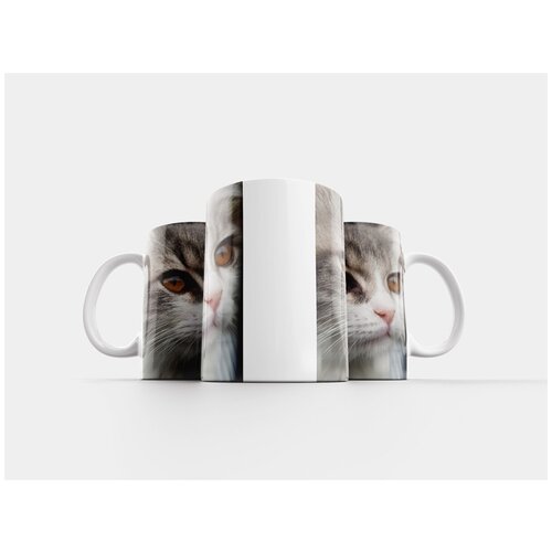 фото Кружка "кошка, животное, портрет" 320 мл lotsprints