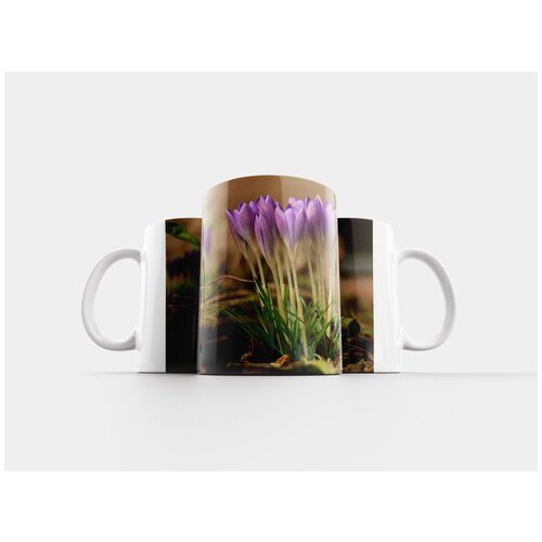фото Кружка "крокусы, весна, цветок" 320 мл lotsprints