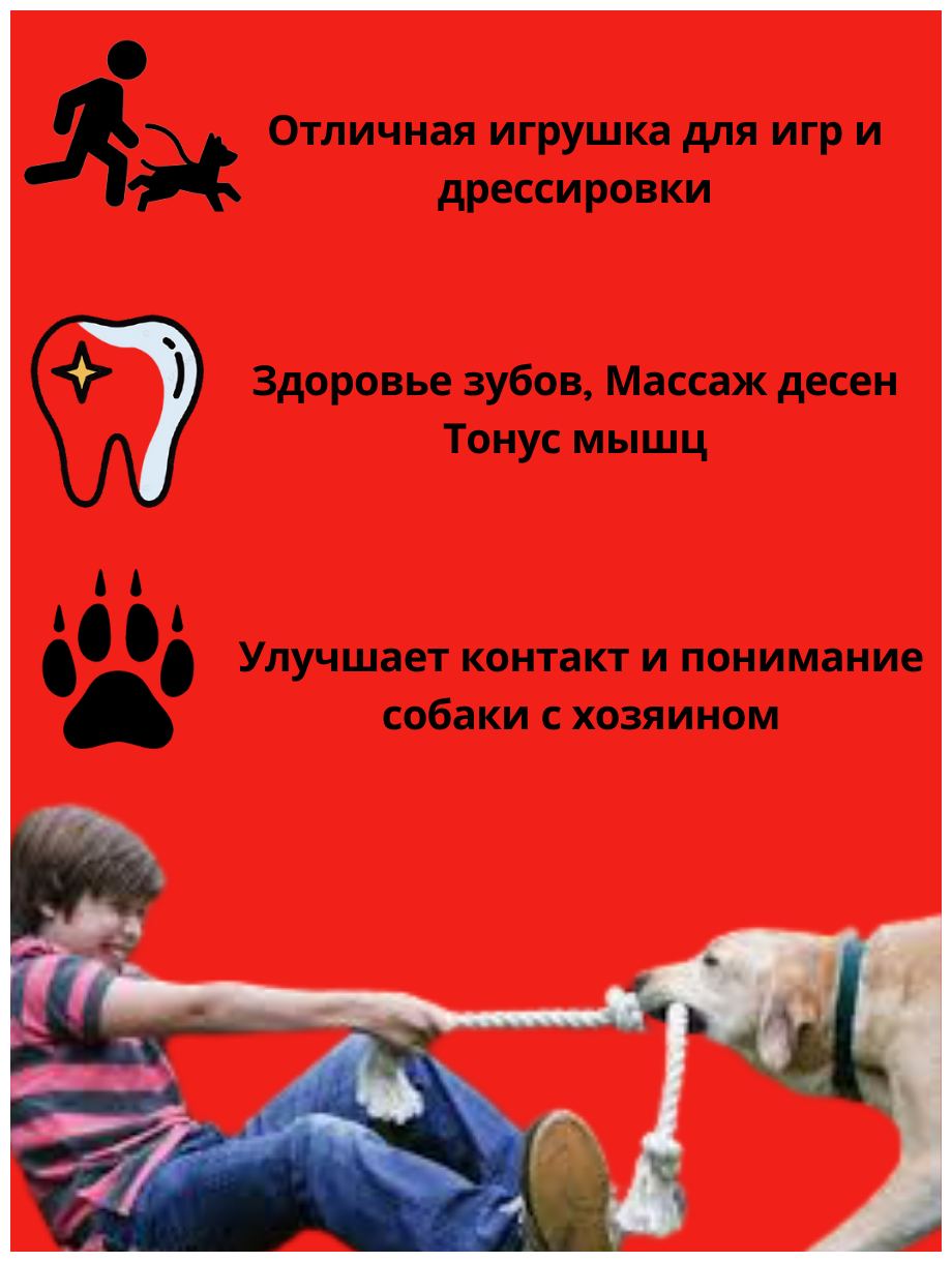 Канат игрушка, для чистки зубов для собак, грейфер - 2 узла, длина 25 см, диаметр 14 мм - фотография № 4