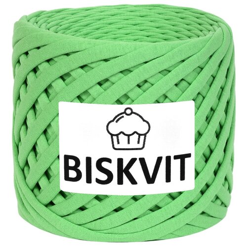 Трикотажная пряжа Biskvit Яблоко, 100 м