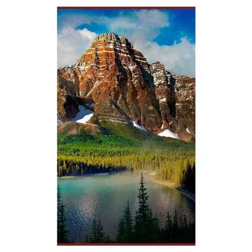 Обогреватель инфракрасный электрический Горы 500 Вт 280000₽