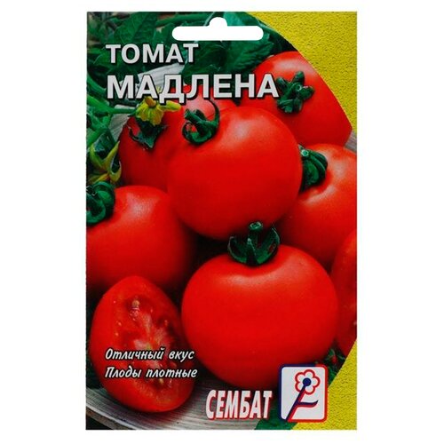 Семена СЕМБАТ томат Мадлена, 0.1 г семена сембат томат мадлена 0 1 г 6 уп