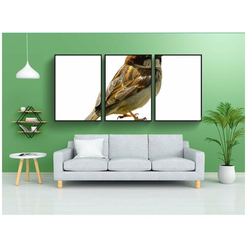 фото Набор модулных постеров для интерьера "животное, птица, воробей" 60x90 см. в тубусе, без рамки lotsprints