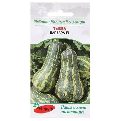 семена тыква барбара f1 sakata5 шт premium seeds Семена Premium seeds Новинки японской селекции Тыква Барбара F1 5 шт.