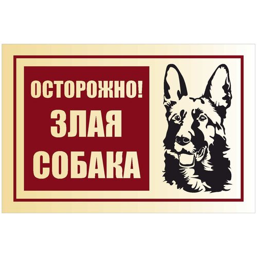 Информационная табличка Осторожно, злая собака. 300х200 мм информационная табличка осторожно злая собака 300х100 мм